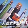金山電線天津電機引接線JBQ