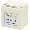 雄獅ups電池生產廠家UPS鉛酸蓄電池雄獅12V24AH