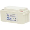 雄獅ups電池生產廠家UPS鉛酸蓄電池雄獅12V65AH