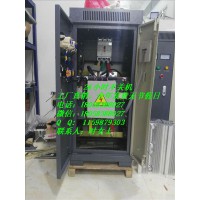 660V軟起動柜FJR-30KW在線式軟啟動柜