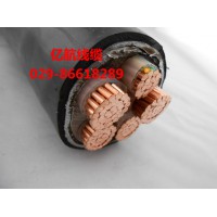 億航線纜YJV22 5*25 鋼帶鎧裝電纜 足方足米