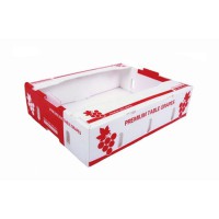 供應(yīng)蜂窩板包裝箱