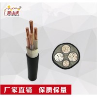 爬山虎牌YJV3+1芯雙絞線無(wú)氧銅花線燈頭線家用電線