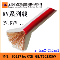 60227 iec 02RV線，RV電源線，電箱連接線