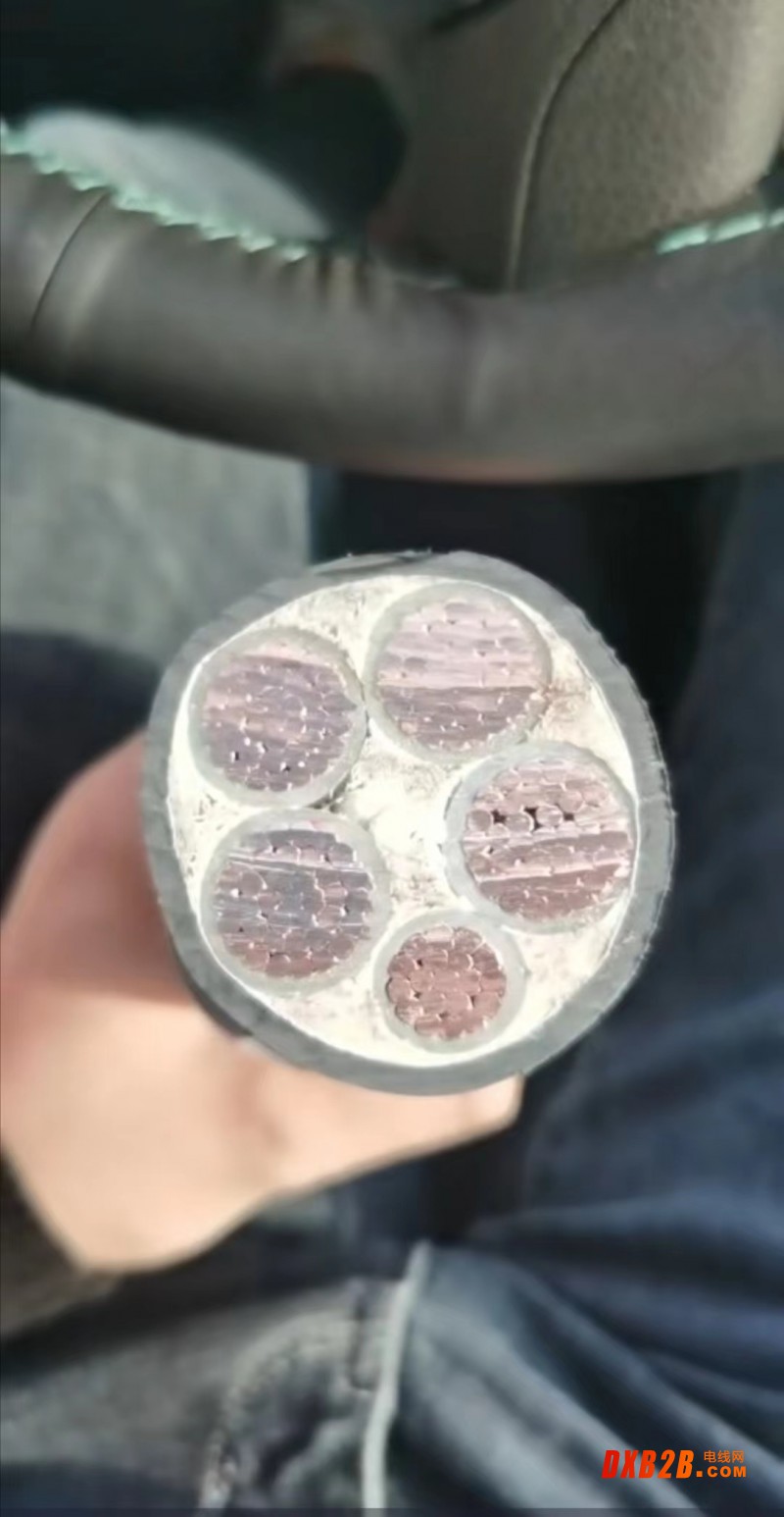 高壽命電纜22