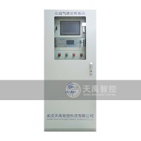 在線煤氣分析系統
