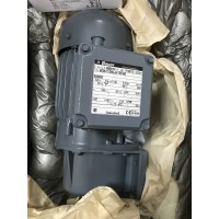 德國BAUER電機