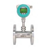 DS-TMF100熱式氣體質量流量計