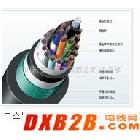 供應(yīng)LS CABLE /COVV-SB 電線｜黃曉華